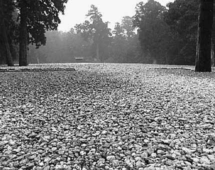 Ise Shrine