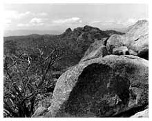 A sample image from gallery 1