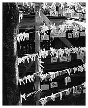 A sample image from gallery 3