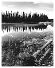 A sample image from gallery 4