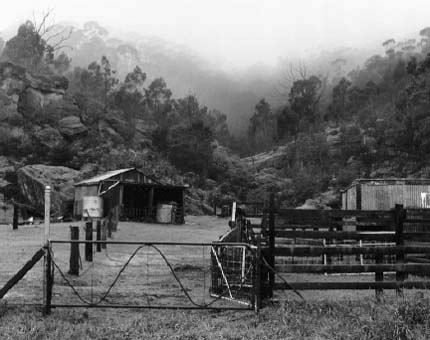 Lithgow Fog