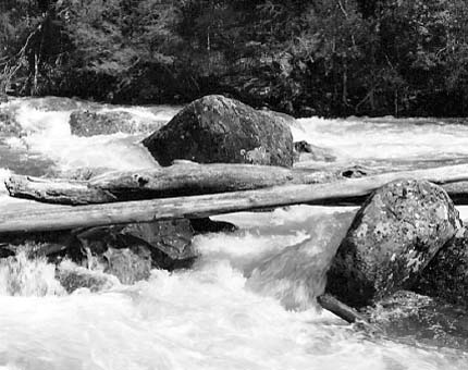 Bogong River