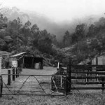 Lithgow Fog