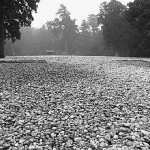 Ise Shrine