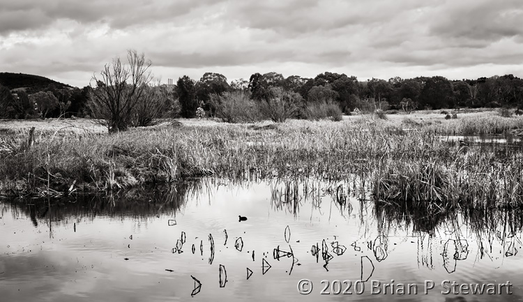 Jerrabomberra Wetlands