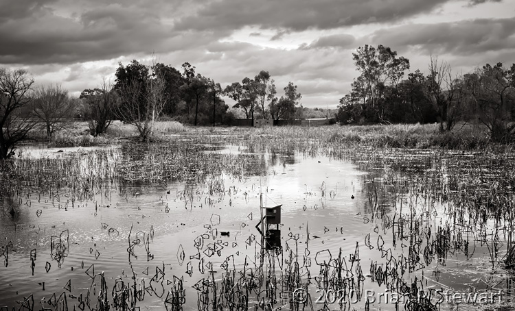 Jerrabomberra Wetlands